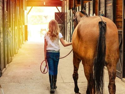 equine-rubber-flooring equine-rubber-flooring